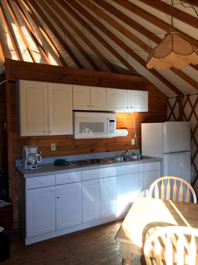 South Jetty Camping Resort Wheelchair Accessible Yurt 3 Florence Exterior foto