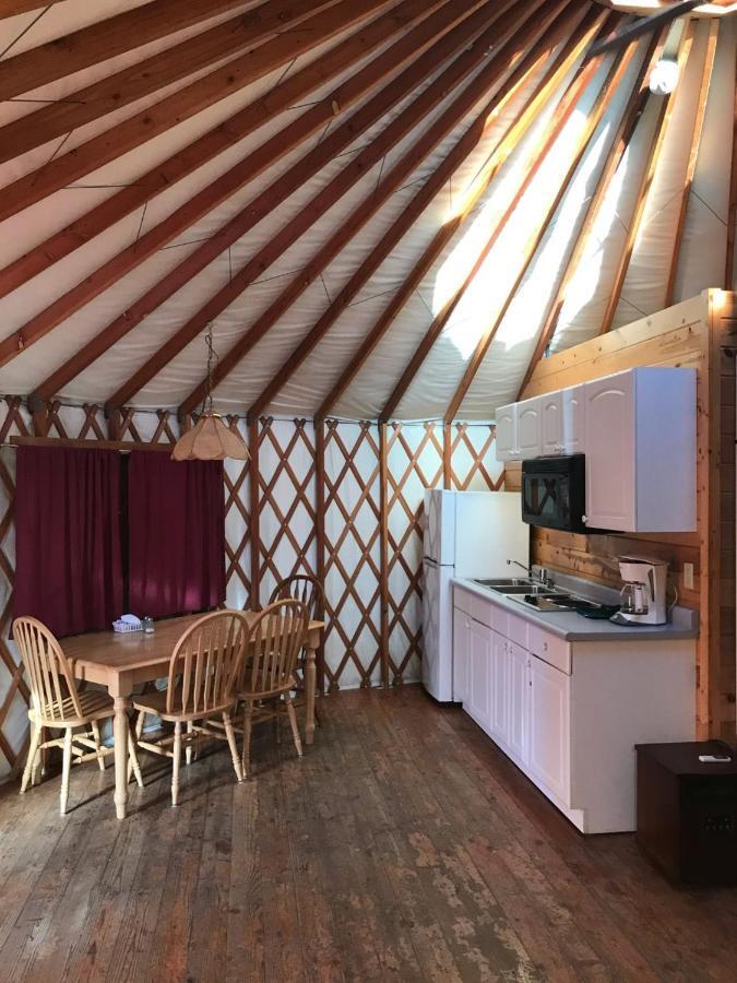 South Jetty Camping Resort Wheelchair Accessible Yurt 3 Florence Exterior foto